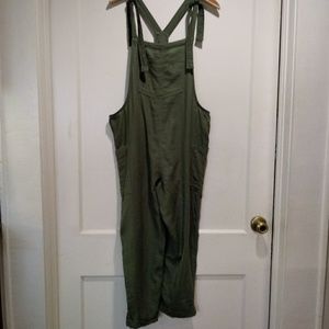 aerie pinstripe overalls